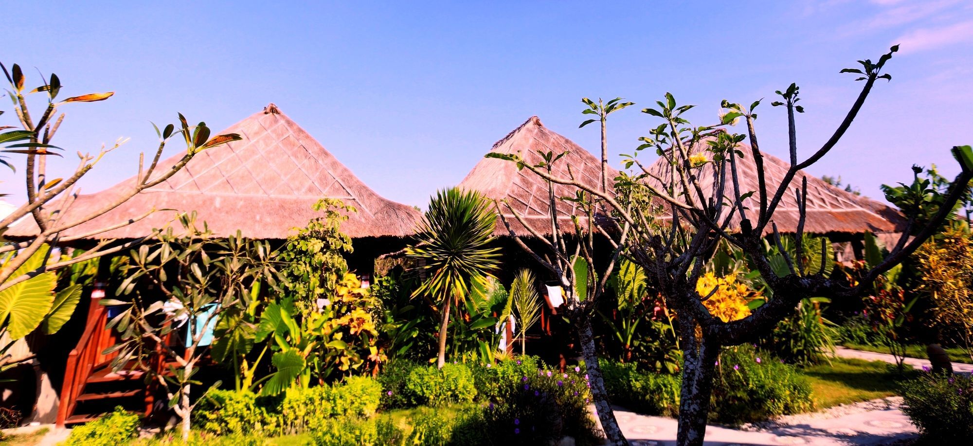 Sunset Coin Lembongan हॉलिडे पार्क 3*
